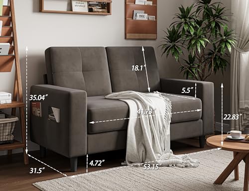 Txtin's Loveseat Sofa 53