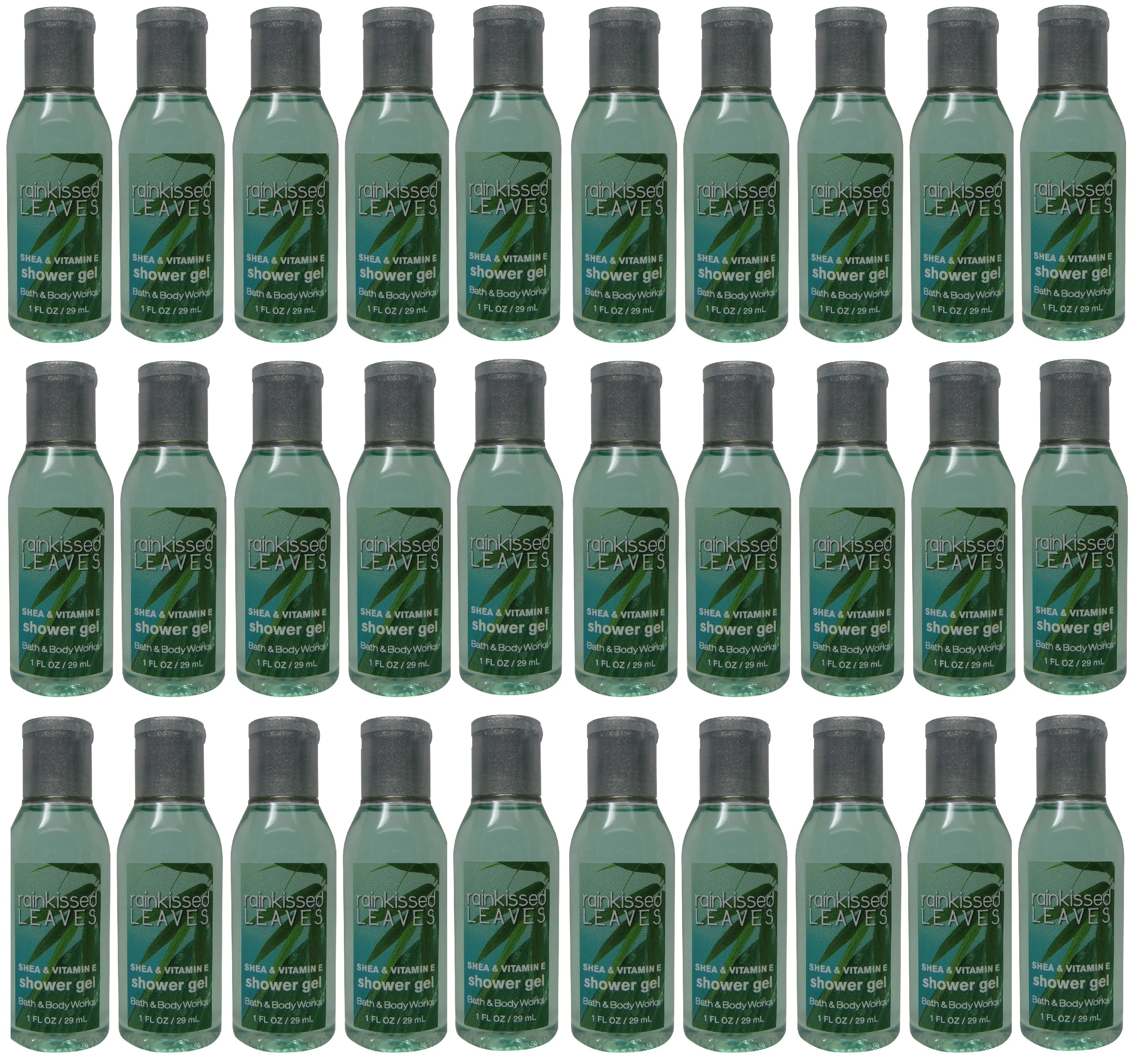 Bath and Body Works Rainkissed Leaves Shower Gel lot of 30 bottles. Total of 30oz