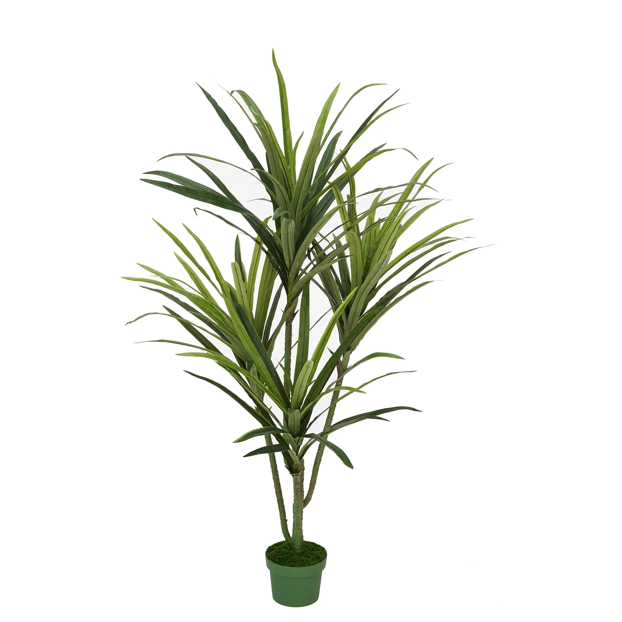 House of Silk Flowers Faux 4ft Dracaena Tree with 4 Heads