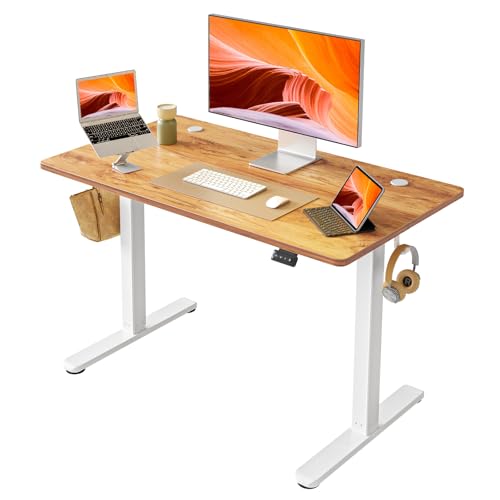 FEZIBO Electric Standing Desk Adjustable Height, 40 x 24 Inch Sit and Stand Desk, Home Office Desk, Ergonomic Workstation Computer Desk, Light Rustic