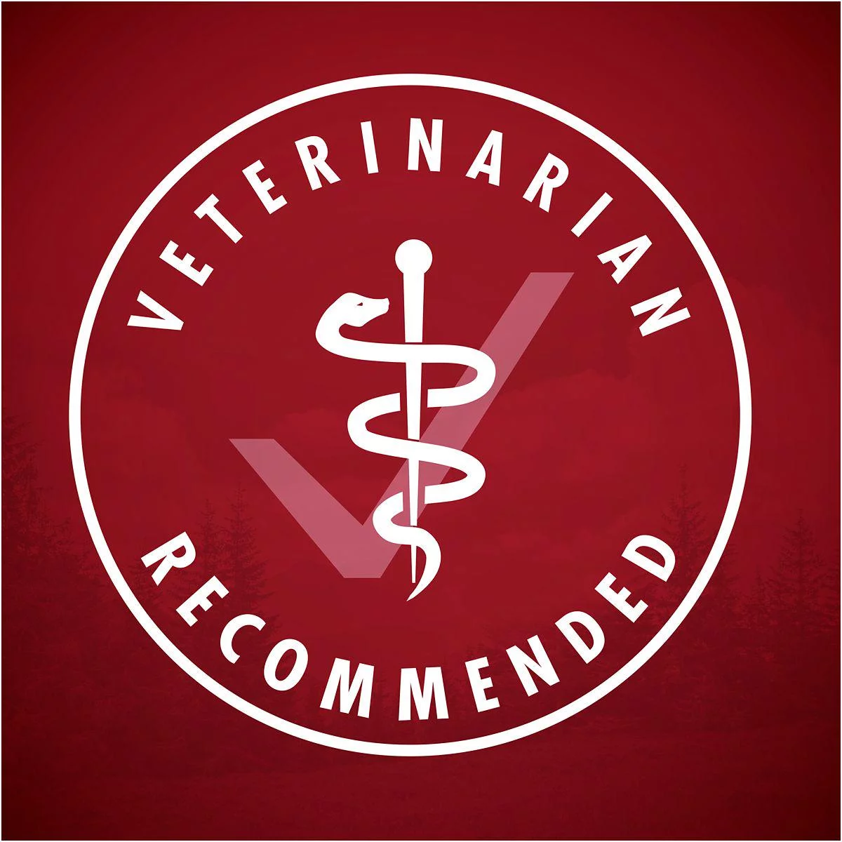 Purina ONE SmartBlend Adult Turkey, Venison, Chicken and Duck Cuts in Gravy Wet Dog Food Variety Pack, 13 oz. Can, Pack of 12