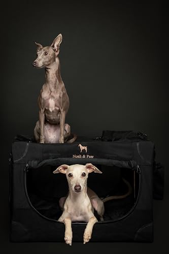 Noah & Paw Collapsible Dog Crate 42 Inch, XXL Dog Crate for XXL, XL, Large Breeds, Travel Kennel for Car, Includes Pet Mat for Pet Cage, 2 Storage Pockets, Handbag, 10mm Locking Zippers 42 * 31 * 31