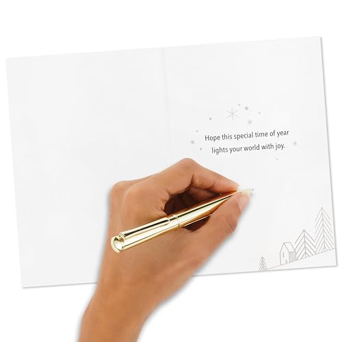 Hallmark Modern Boxed Christmas Cards, Amazing Holiday (40 Cards and 40 Envelopes) Evergreen Branches and Holly