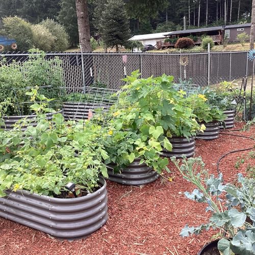 A ANLEOLIFE 8X4X1.5 ft Galvanized Raised Garden Beds Outdoor, Oval Large Metal Planter Box for Planting Vegetables Flowers Herb, Anti-Rust & Easy-Setup, Quartz Grey