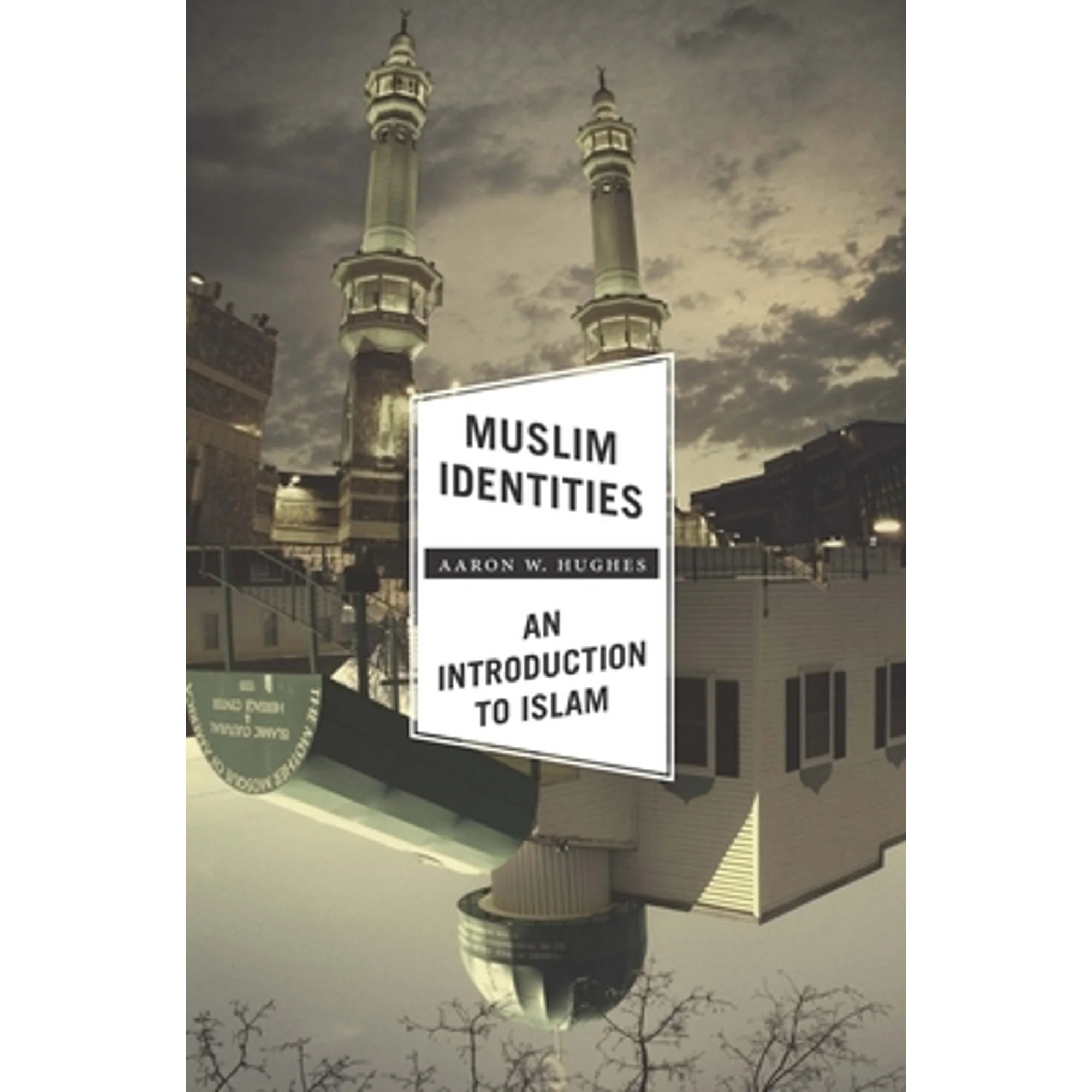 Pre-Owned Muslim Identities: An Introduction to Islam (Hardcover 9780231161466) by Aaron Hughes