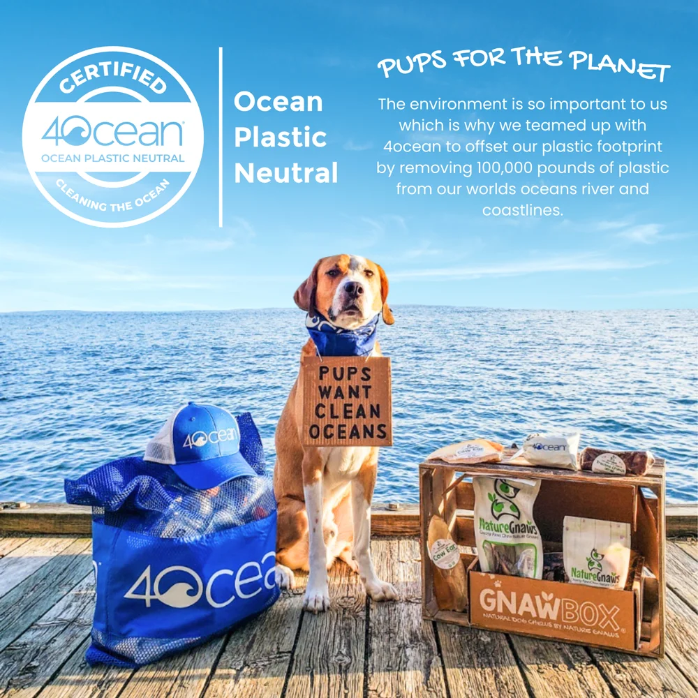 Nature Gnaws Natural Large Beef Bully Sticks for Dogs 5-6