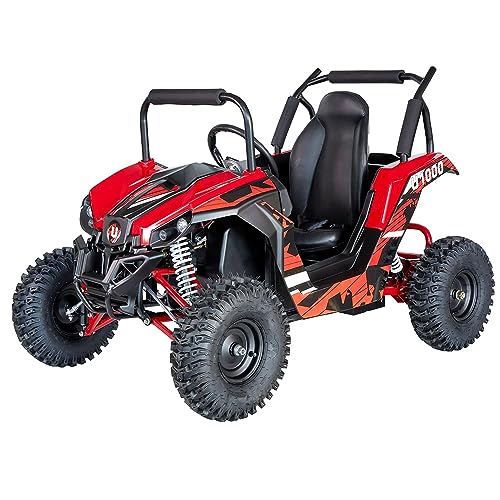 UTV Ride on Car (Large), 48V Shock Absorber Electric Vehicles with Disk Brake, Gear Switch, Steel Frame, Off-Road Tire, Flexible Seat Belt and Seat, Three-Speed Parental Limit-Lock Function