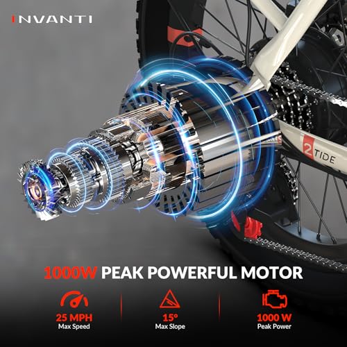 Folding Electric Bike, Peak 1000W Ebikes for Adults, 25Mph Top Speed 45Miles 20