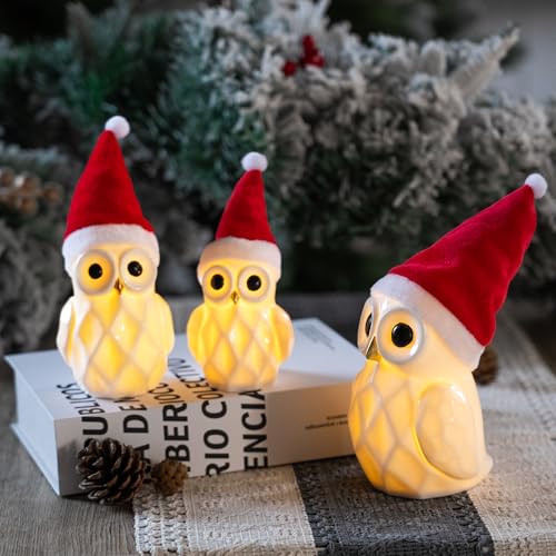 NEROSUN Ceramic Christmas Village Houses, 3Pcs LED Lighted Porcelain White Small House Tabletop Figurines, Light Up Christmas Decorations for Home Shelf Cabinet Table Winter Decor