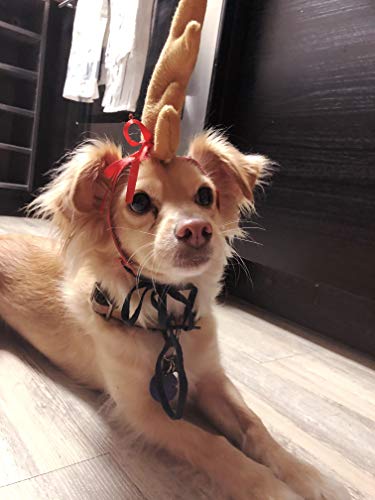 ComfyCamper Reindeer Antler Dog Halloween Costume - Headband Cosplay Christmas Small Medium Large X-Large Puppy Cat, XL