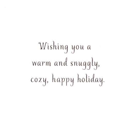 Hallmark Christmas Cards Boxed with Envelopes, Happy Holidays (40 Blue Holiday Cards)