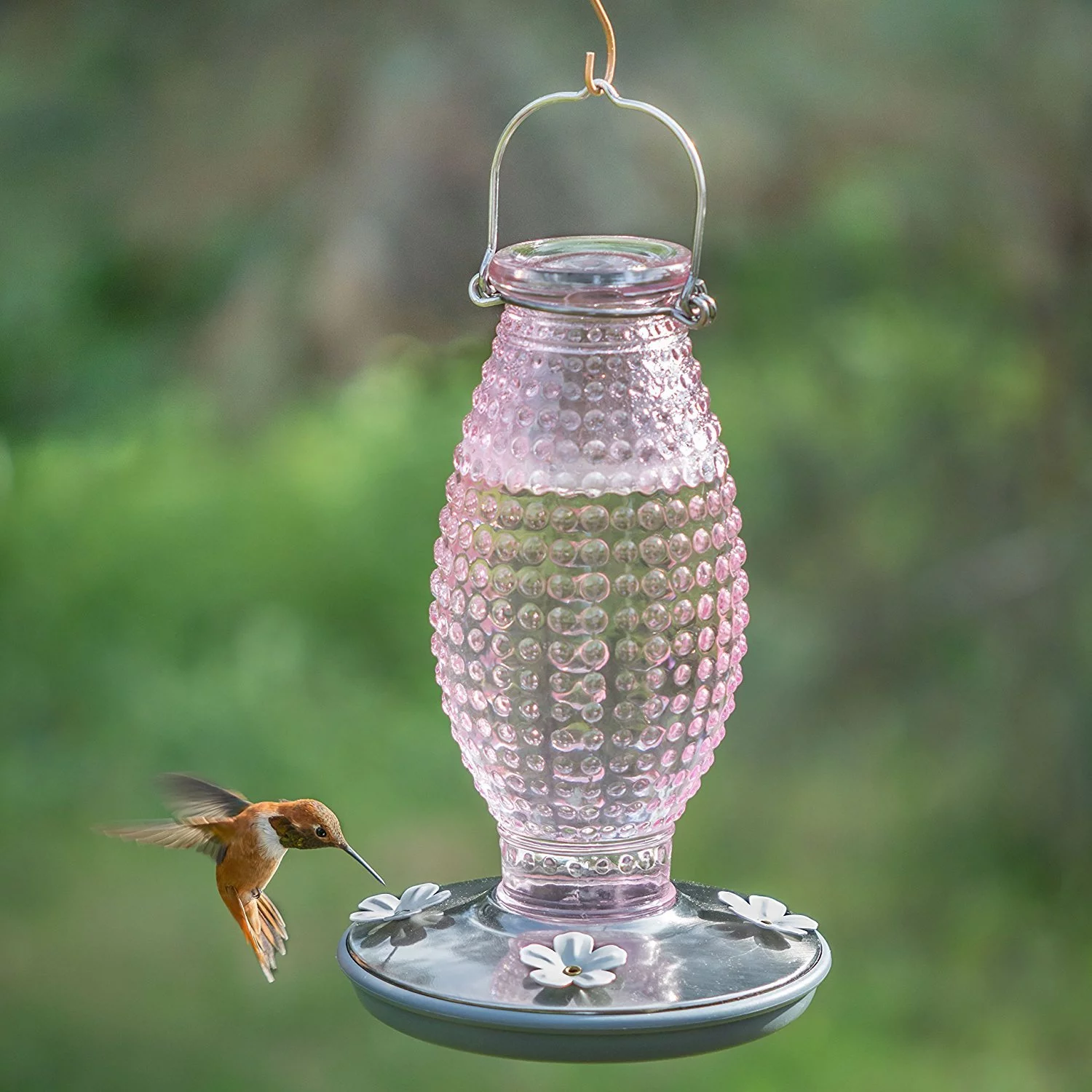 Perky Pet Vintage Glass Hummingbird Feeder (Cranberry Pink)