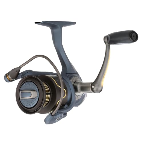 Pflueger President Spinning Fishing Reel
