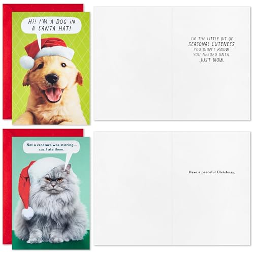 Hallmark Shoebox Funny Boxed Christmas Cards (24 Cards and 24 Envelopes) Dog, Cat, Llama, Reindeer