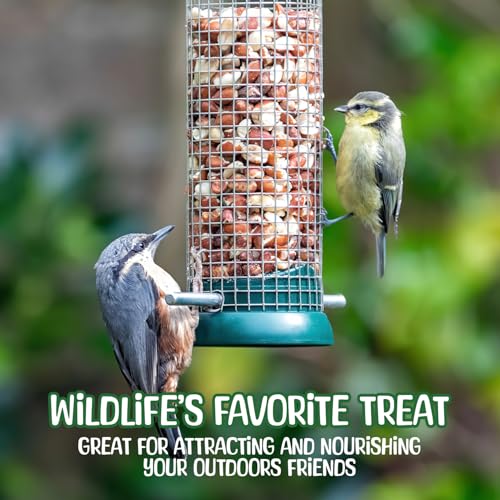 Premium Quality Raw Peanuts in Shell - 10 Pounds – All-Natural Food for Squirrels, Deer, Birds, and Other Wildlife Animals – Grown in The USA for Healthy Nutrition