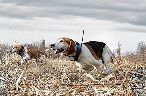 SportDOG Brand TEK Series 2.0 GPS Tracking Add-A-Dog Collar - Additional, Replacement, or Extra Tracking Collar - Waterproof and Rechargeable