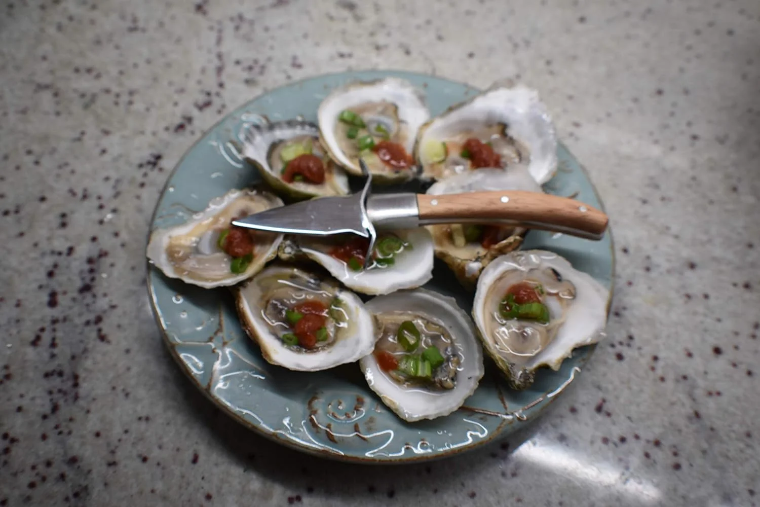 ] Oyster Knife - Oyster Shucking Knife With Wood Handle, Mirror Finish Blade, Handguard - Compact Design Oyster Shell Shucker/Opener.