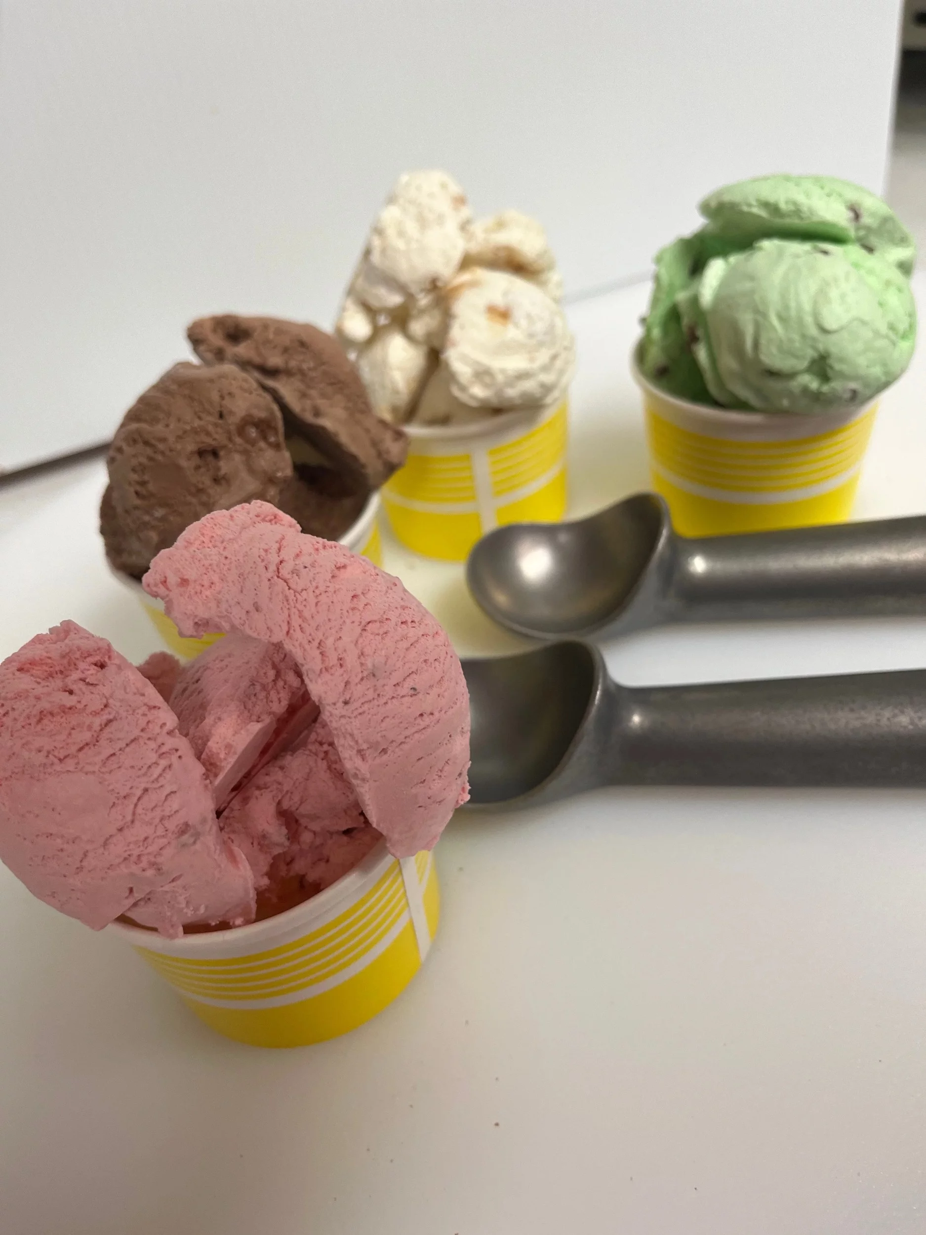 5 Pack Bundle of Freeze Dried Variety Packed Ice Cream}