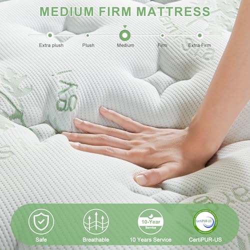 Full Mattress,12 Inch Full Size Mattresses in a Box,Memory Foam Hybrid Mattress,with Individual Pocket Spring - Pressure Relief, Motion Isolation, Cool Sleep, 75
