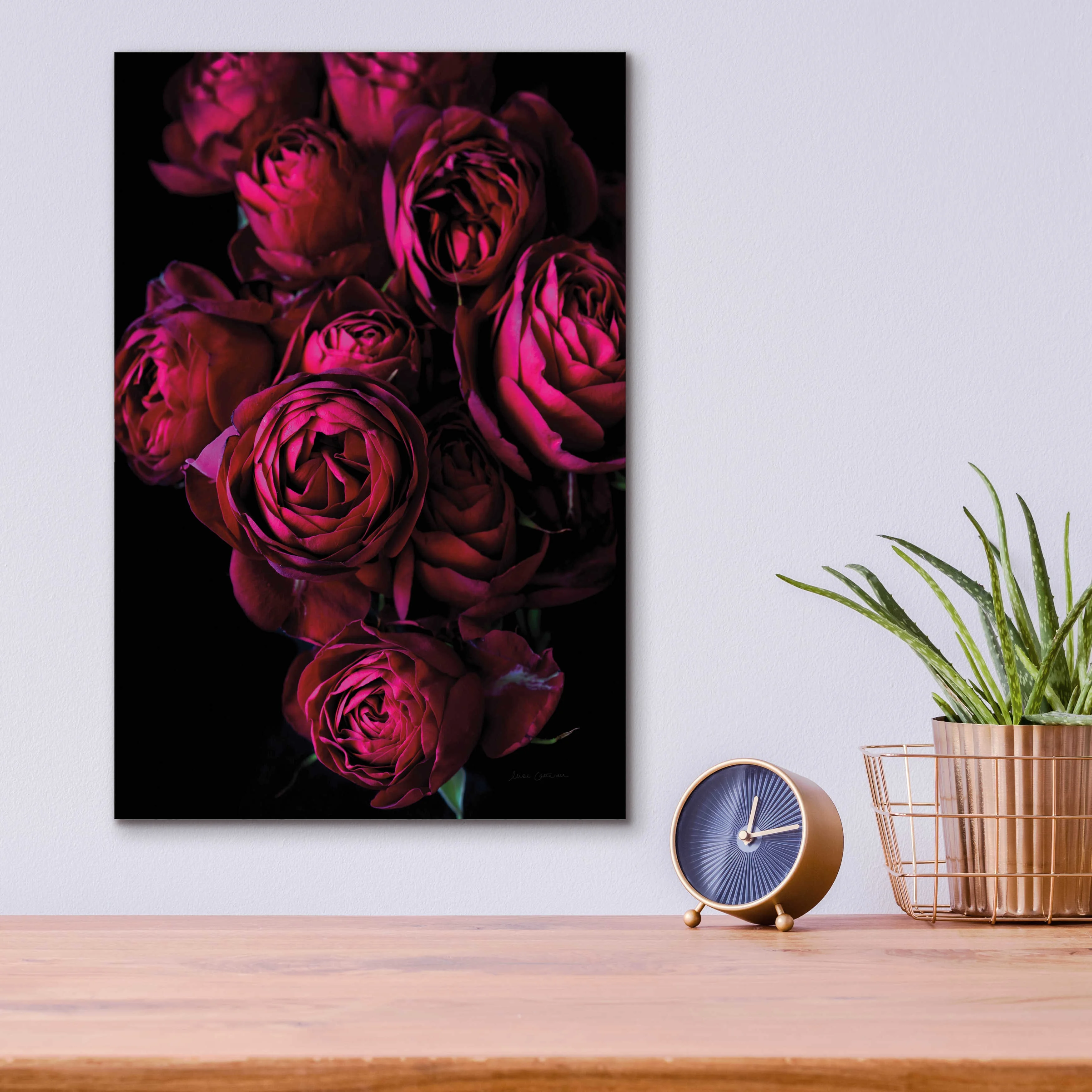 Epic Art 'Cabbage Roses' by Elise Catterall, Acrylic Glass Wall Art, 12