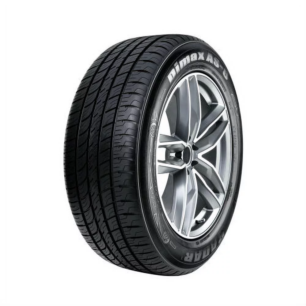 Radar Dimax AS-8 All Season 225/65R17 106V XL Passenger Tire