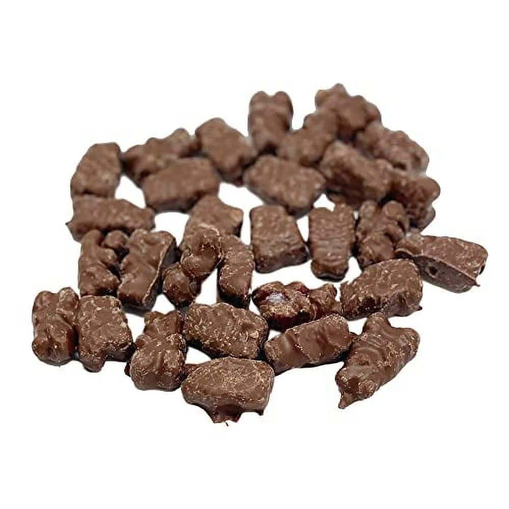 Chocolate Covered Gummi Bears - Resealable Stand Up Candy Bag - Milk Chocolate Gummies - Assorted Gummi Flavors - Bulk Party Candy for Holidays and Special Events (2 LB)