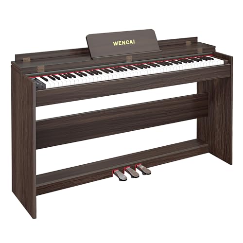 88 Key Fully Weighted Digital Piano Keyboard, 88 Keys Hammer Action Electric Pianos, Wooden Classic Upright Electronic Piano for Beginner, Professional, Midi Compatible, Triple Pedal (Black)