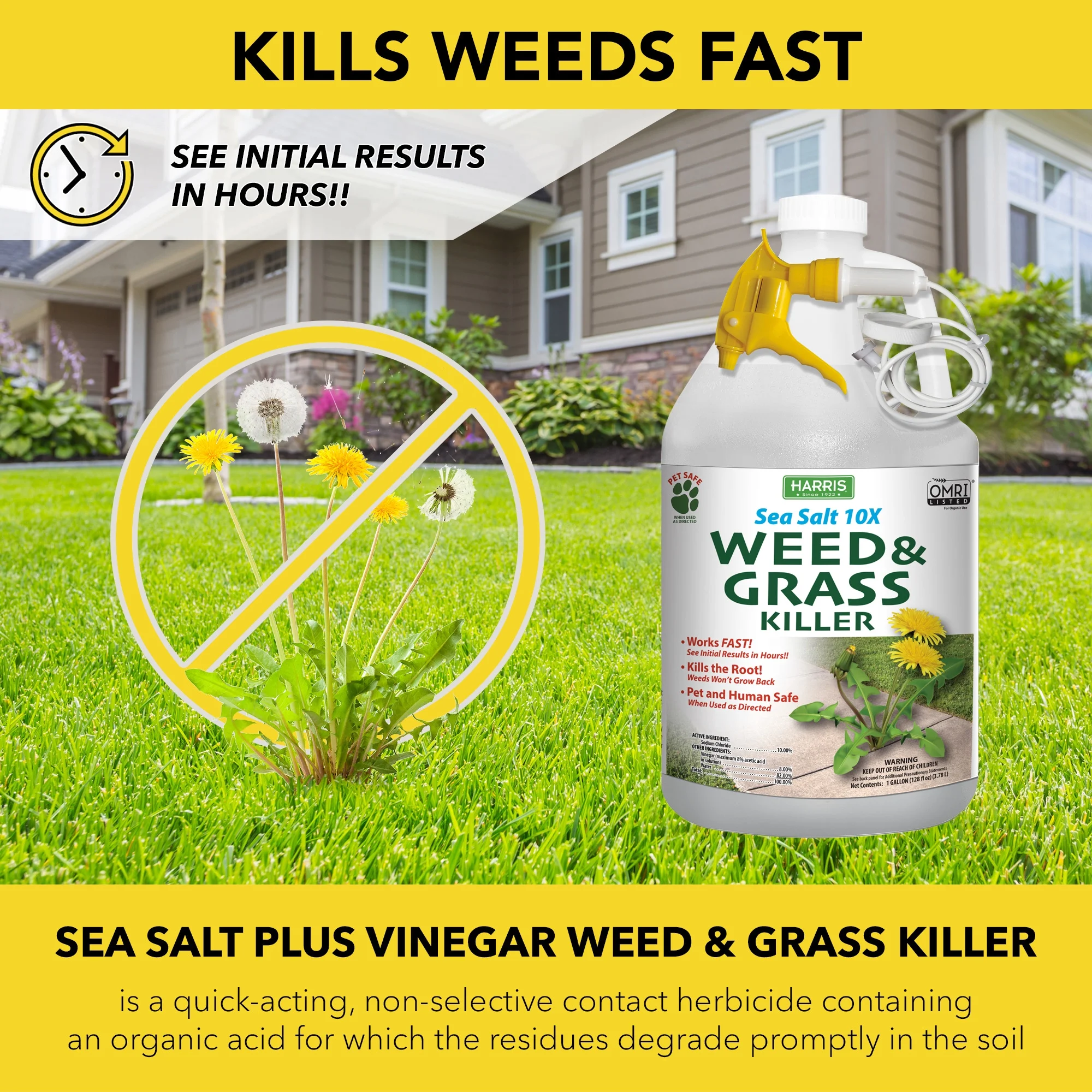Harris Sea Salt 10X Weed & Grass Killer, 128 oz.