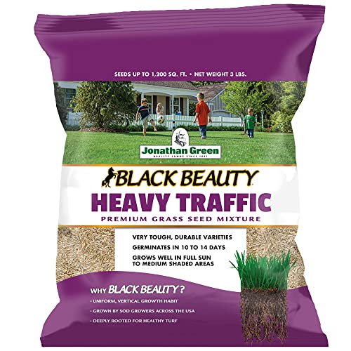 Jonathan Green (10980) Black Beauty Heavy Traffic Grass Seed - Cool Season Lawn Seed (25 lb)