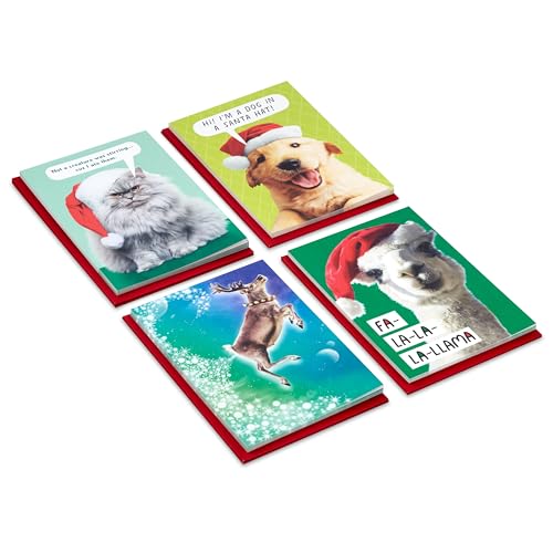 Hallmark Shoebox Funny Boxed Christmas Cards (24 Cards and 24 Envelopes) Dog, Cat, Llama, Reindeer