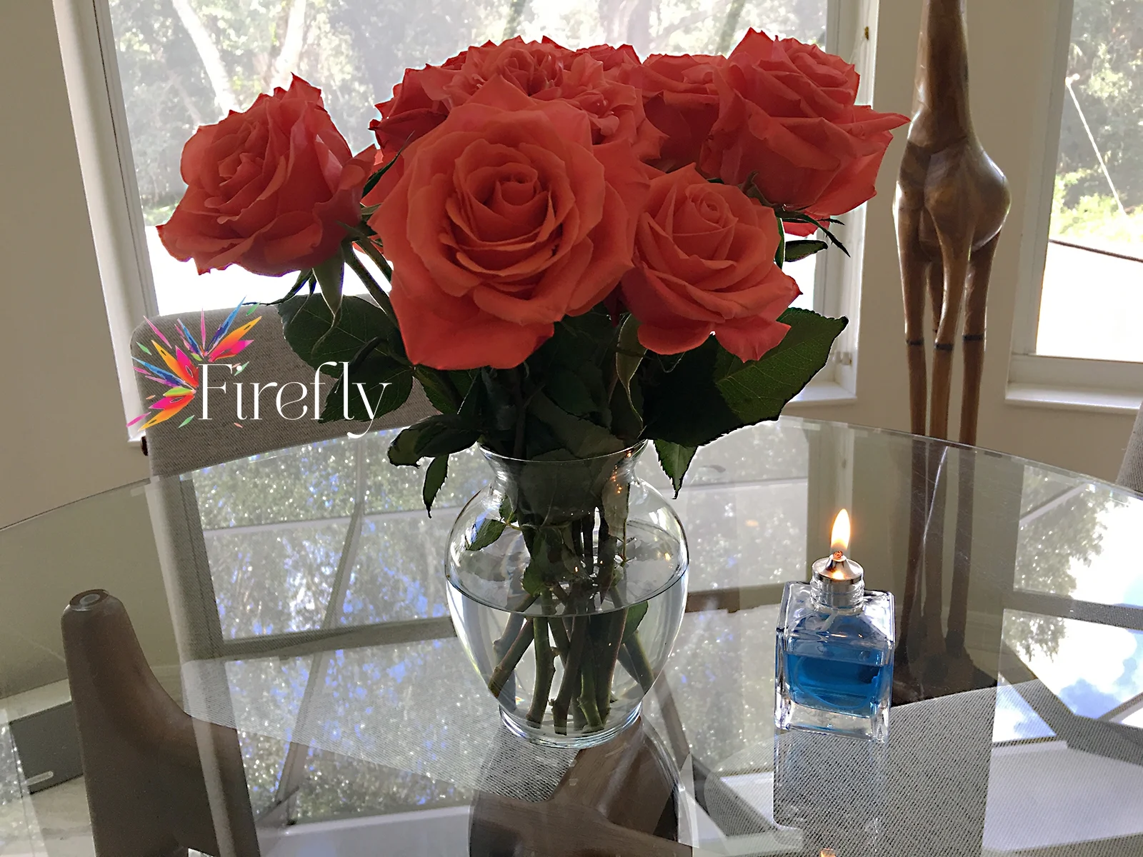 Firefly Aura Petite Glass Refillable Oil Lamp | 2