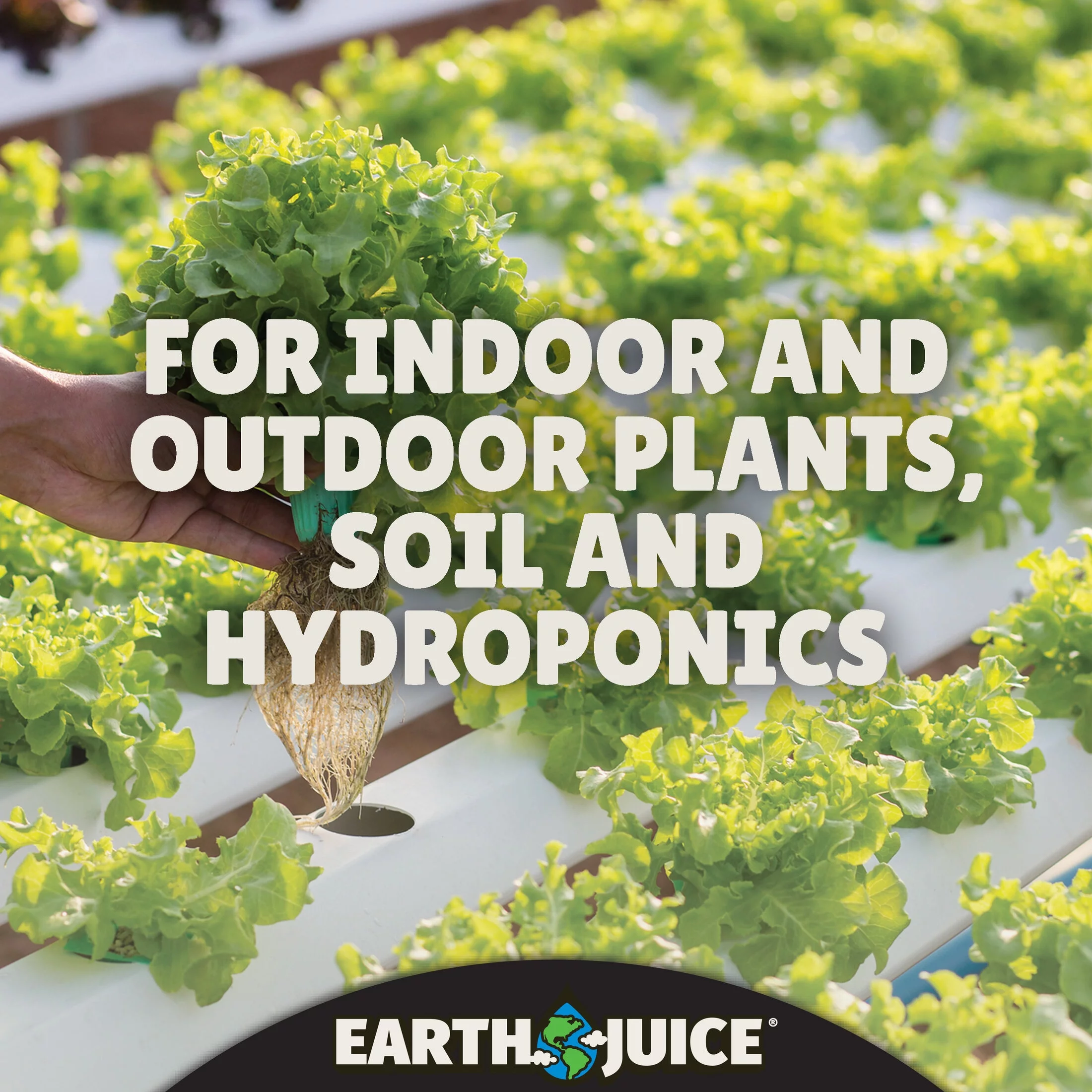 Earth Juice Sugar Peak Flowering Plant Food, 2-4-5 Flower Fertilizer, 32 oz.