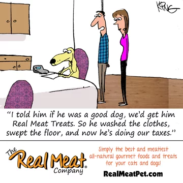 Real Meat AIr-Dried Jerky Treats, Free-Range All-Natural (Venison, 12 oz)