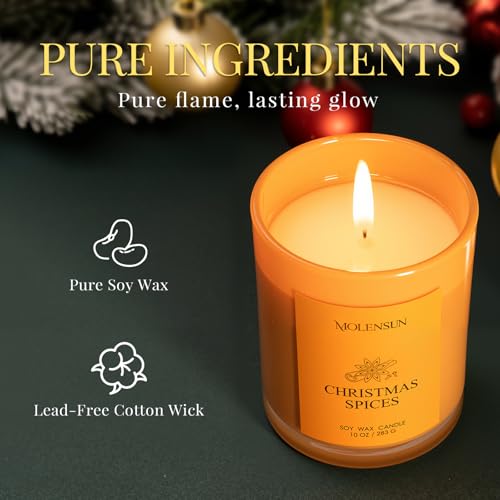 Christmas Candles Gift Set, 3 Pack Total 30oz Soy Scented Candles – Christmas Fir, Gingerbread & Apple Cider – Luxury Gift Box, Holiday & Birthday Gifts for Women & Men, Non-Toxic Clean Burn