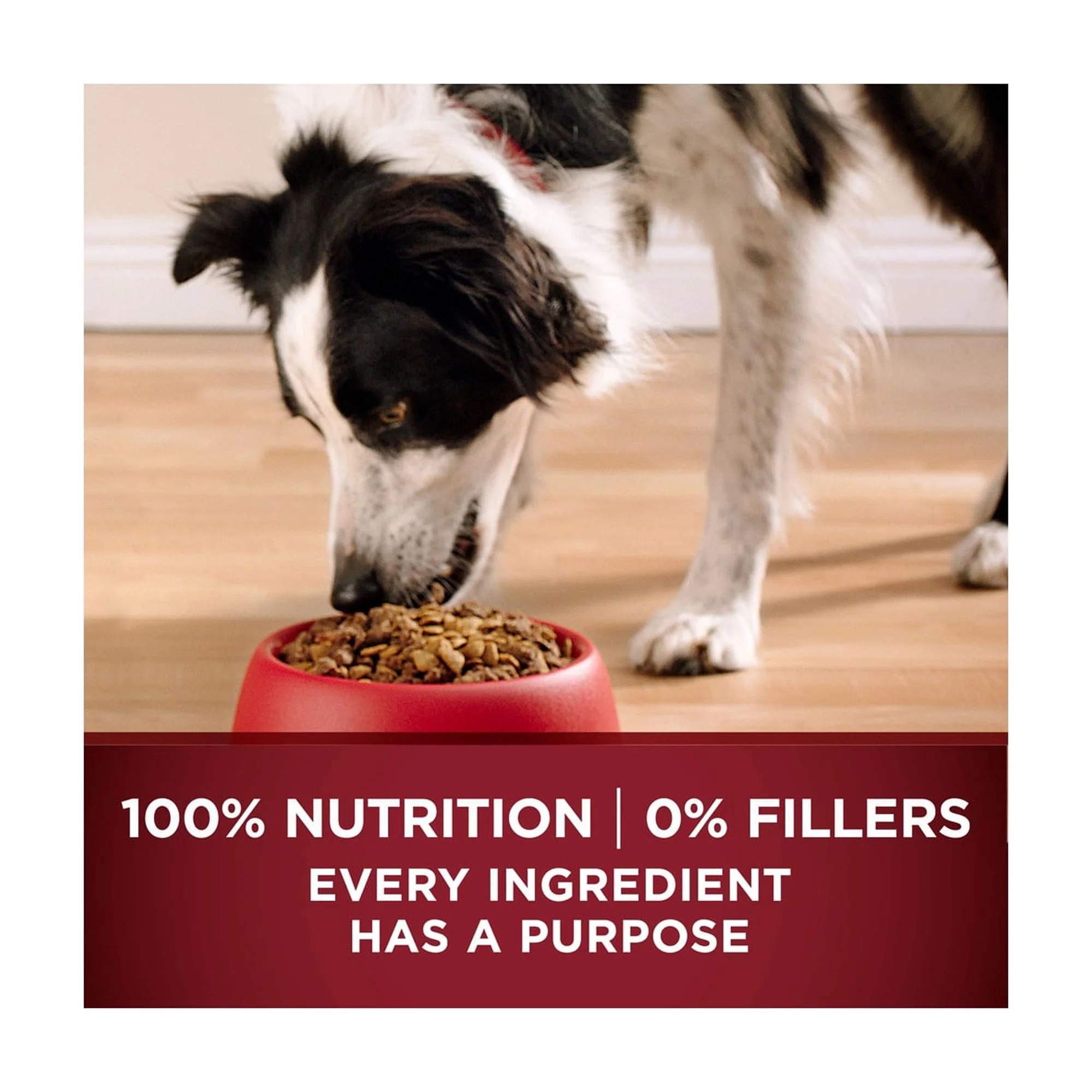 Purina ONE True Instinct With A Blend Of Real Turkey and Venison Dry Dog Food - 7.4 lb. Bag (Pack of 16)