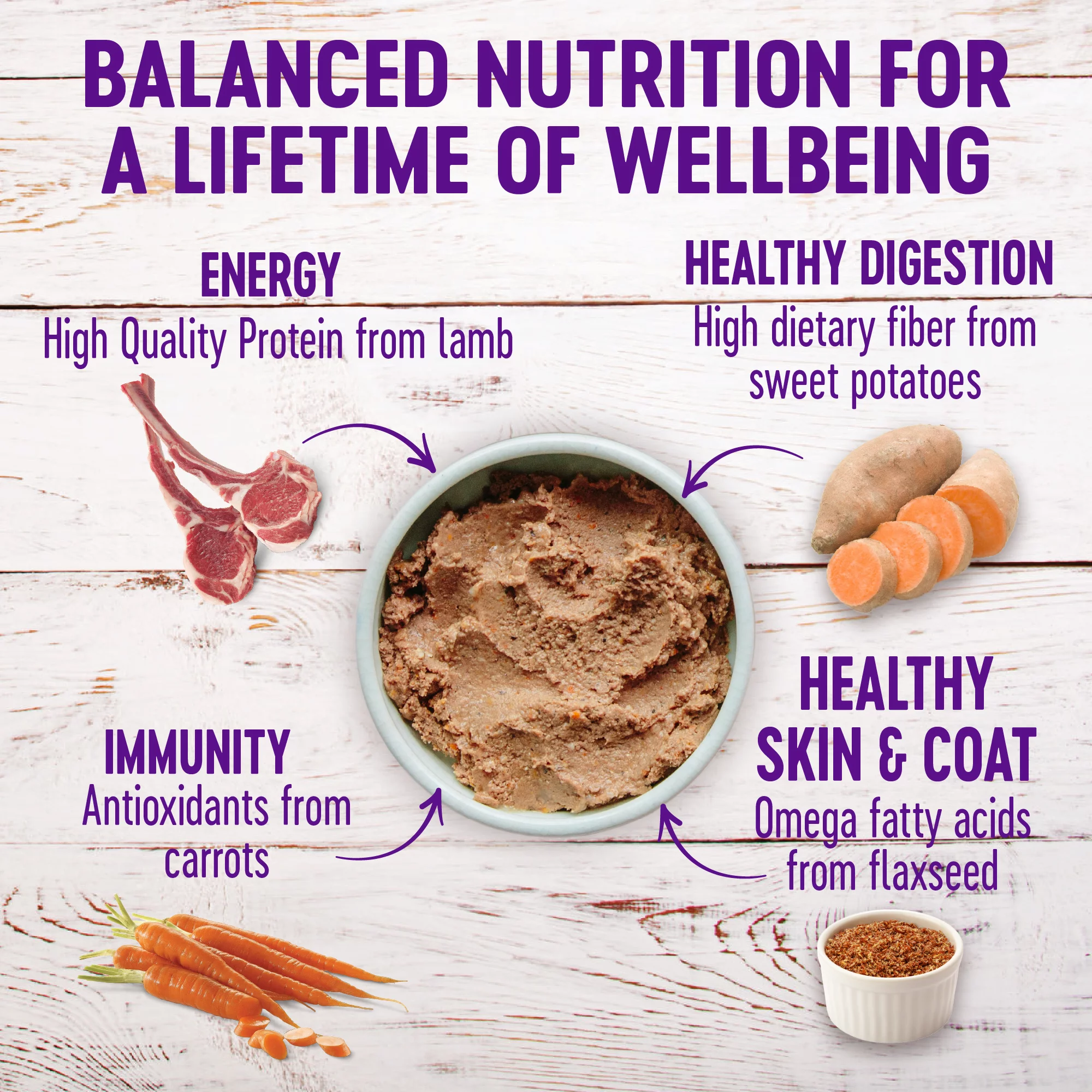 Wellness Complete Health Natural Wet Canned Dog Food, Lamb & Sweet Potato, 12.5-Ounce Can (Pack of 12)