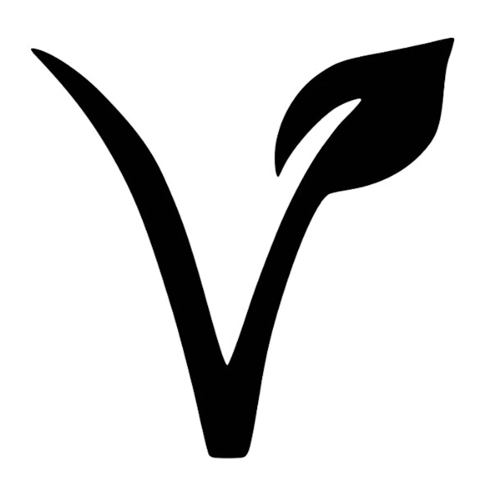 BS Grillin' Company 2 PK Smokin' Chipotle BBQ Sauce with Apricot Brandy