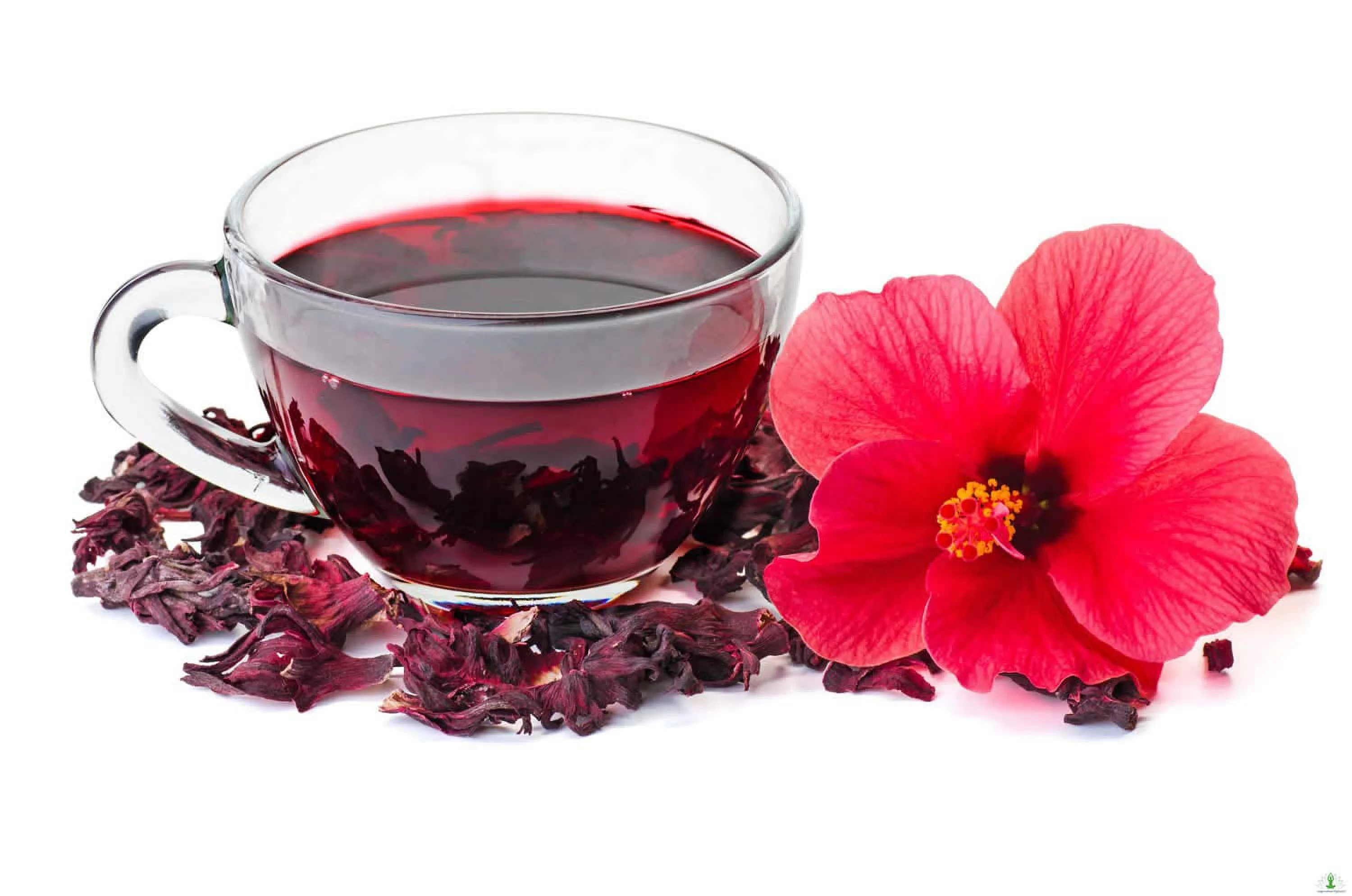 ORGANIC HIBISCUS FLOWER WHOLE | Bulk Hibiscus sabdariffa | 16 oz Hibiscus Flower Tea | Dried Herbs | Metaphysical | Natural Herbs