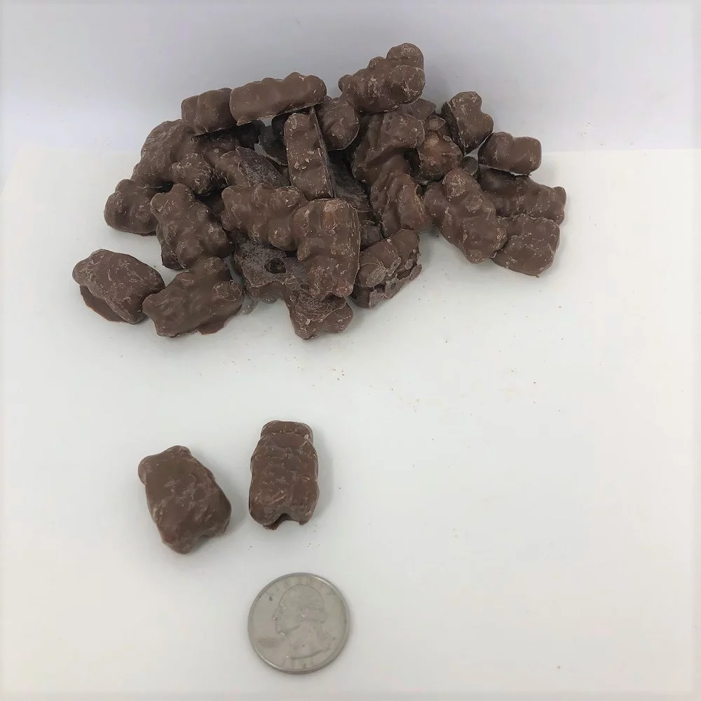 Chocolate covered Gummi Bears 2 pounds chocolate gummy bears