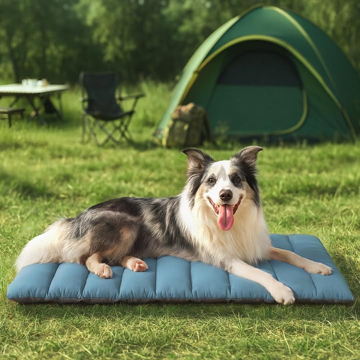 WESTERN HOME WH Outdoor Dog Bed,Large Sized Dog Waterproof Washable Beds for Medium Large Dogs, Portable Camping Travel Pet Bed Mat, 43 x 26 Inch, Sky Blue