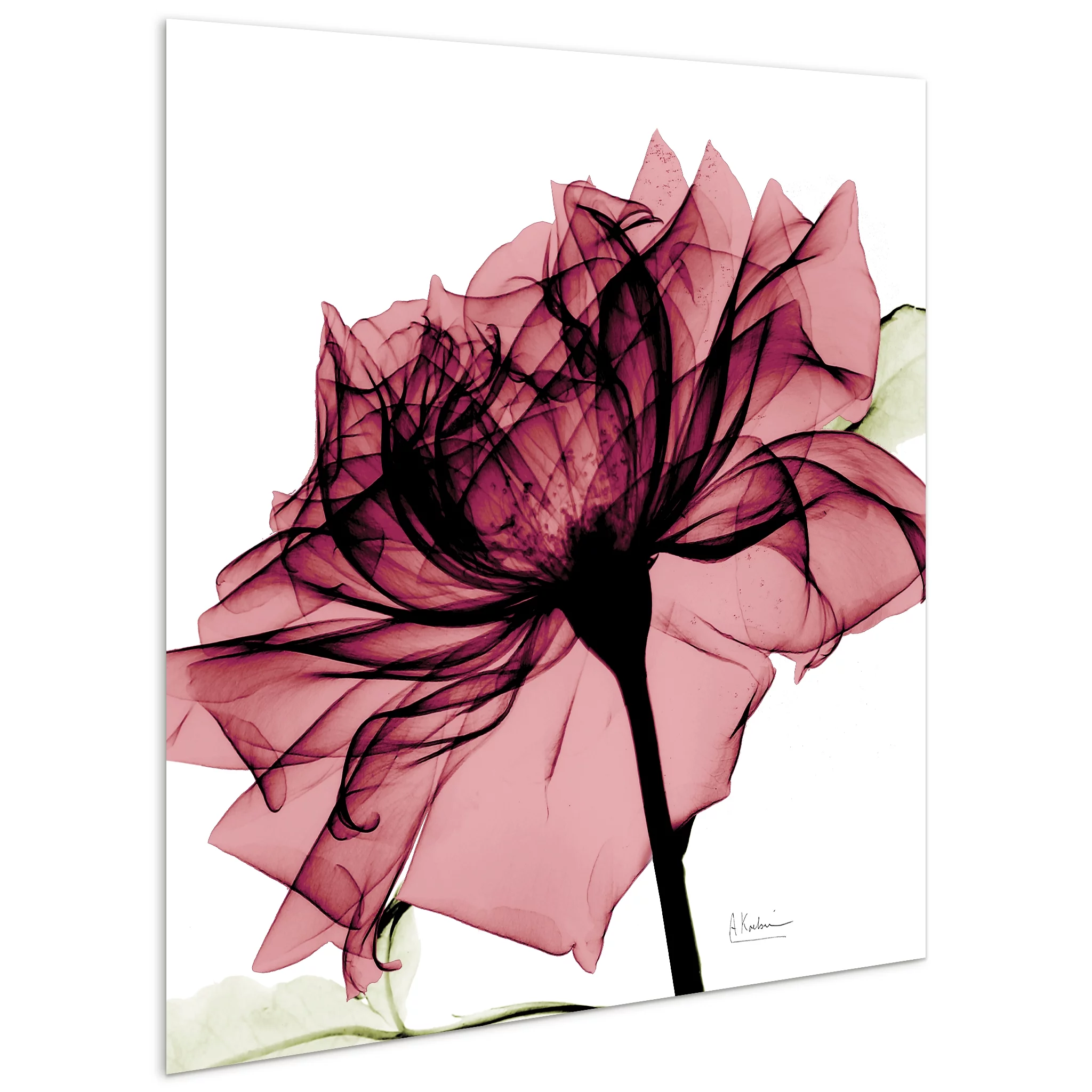 Empire Art Direct Chianti Rose I & II Frameless Free Floating Tempered Glass Panel Graphic Wall Art, 24