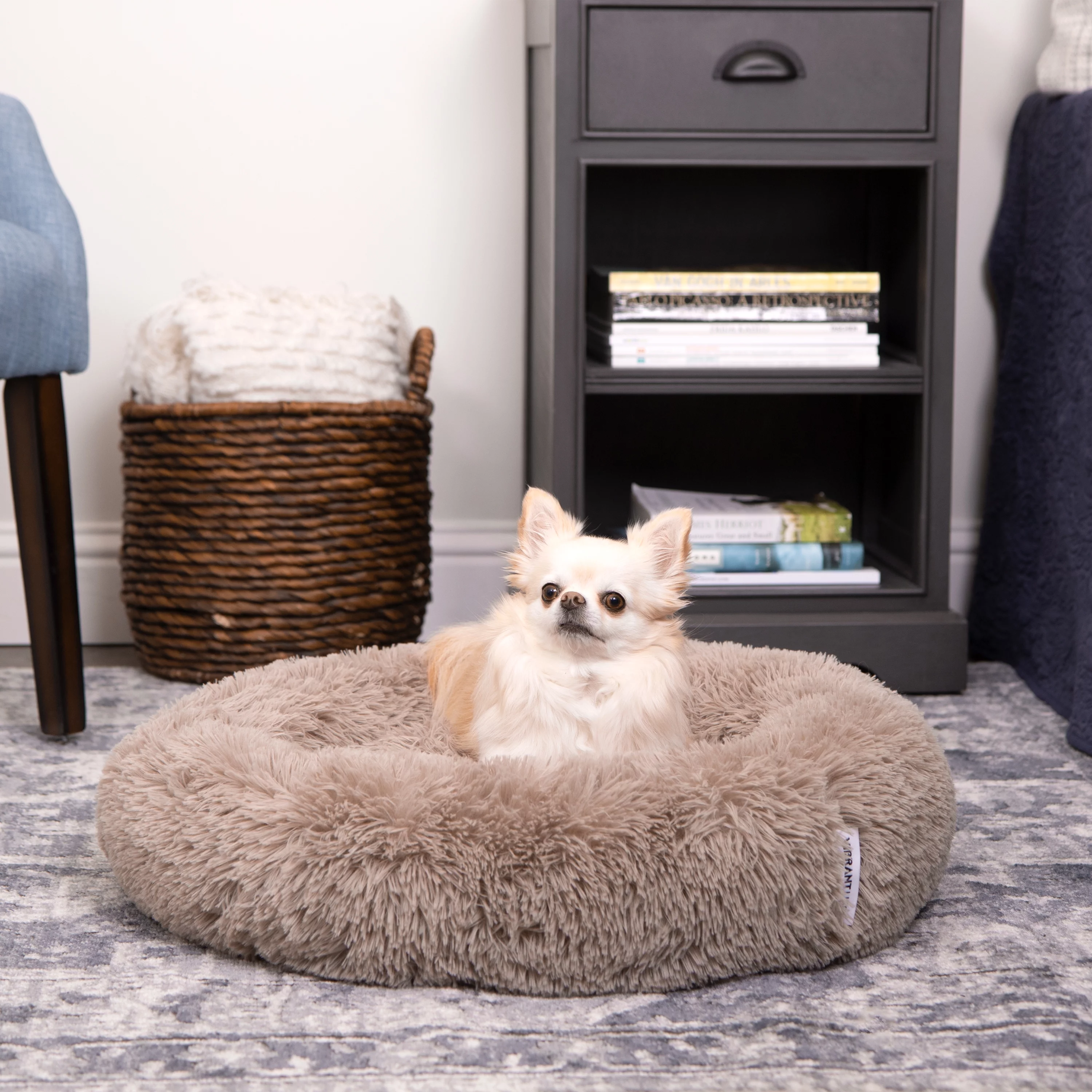 Vibrant Life Cozy Lounger Pet Bed Mattress Edition, Small, 24