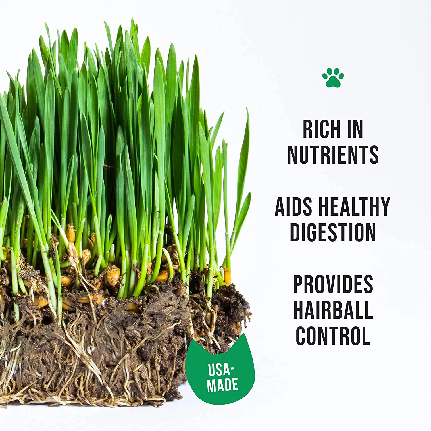 The Cat Ladies Organic Cat Grass Kit - Seed Mix, Soil, Cat Planter - Natural Hairball Control