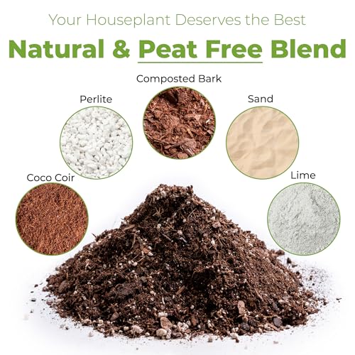 Perfect Plants Indoor Plant Soil 8qt | Perfectly Balanced Potting Mix | Gardening Substrate for All Varieties of Live houseplants