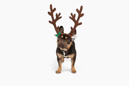 Midlee Brown Reindeer Dog Antlers Headband Pet Christmas Costume - Large