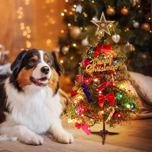 20 Inch Christmas Tree with Light Small Table Top Christmas Tree with LED String Lights, Star Treetop, Ornaments Balls Artificial DIY Christmas Table Decoration