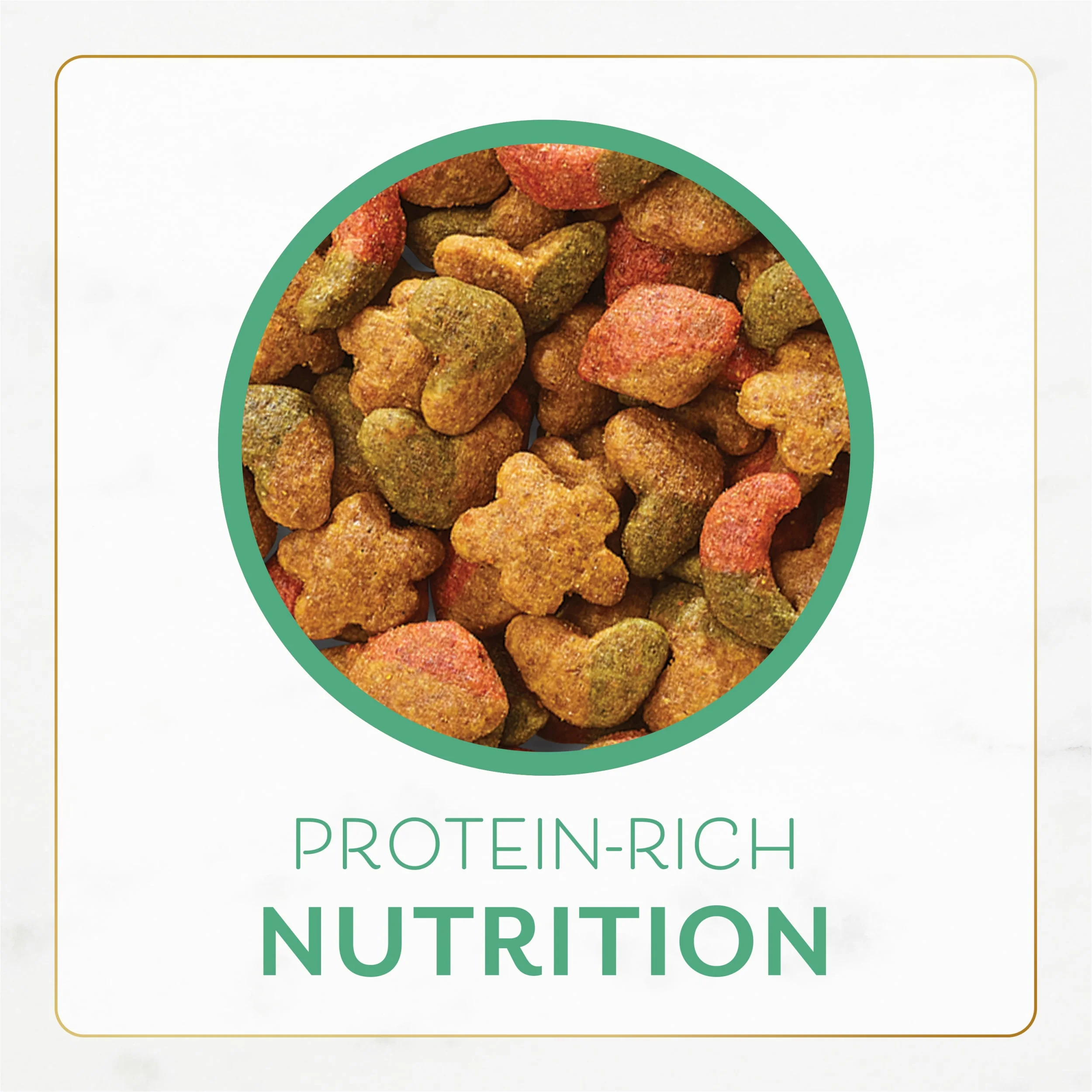 Purina Fancy Feast Dry Cat Food with Ocean Fish and Salmon