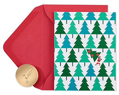 Papyrus Petite Holiday Cards Boxed with Envelopes, Wonderful Holiday, Wreath (20-Count)