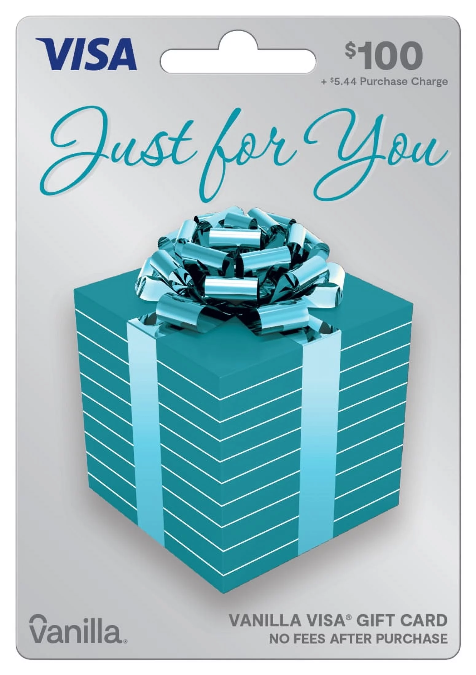 $100 Vanilla Visa Shiny Bow Gift Card