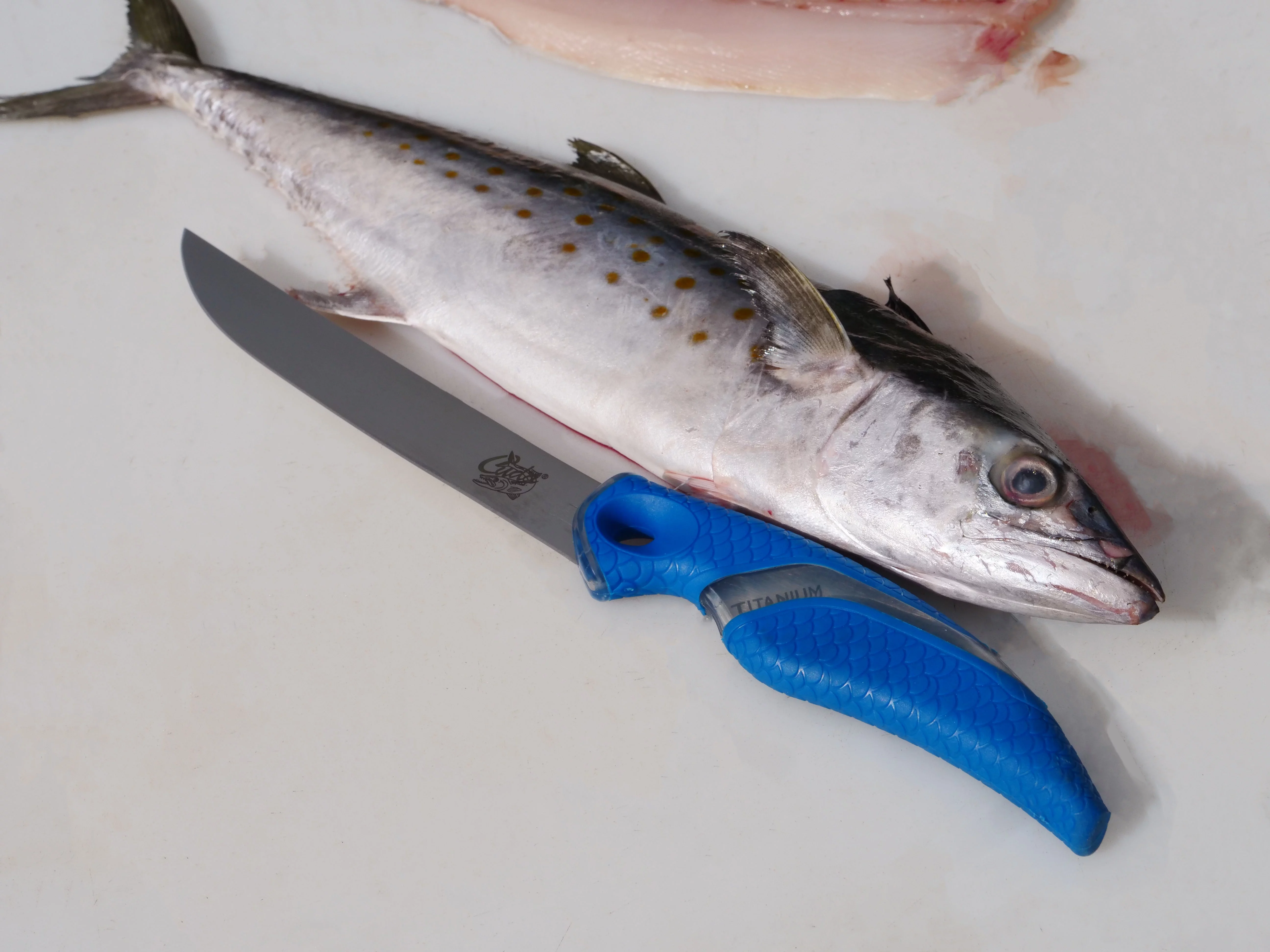 Cuda Titanium Bonded Wide Fish Fillet Knife, 7